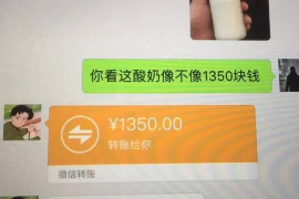 禹城为什么选择专业追讨公司来处理您的债务纠纷？